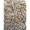 Vacuum Packaging Food Ingredients Bakery Grade Sunflower Kernels